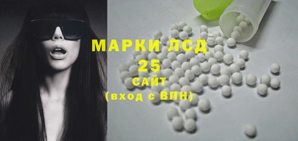 крисы Алзамай